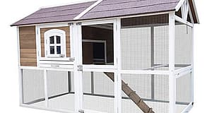 Innovation Pet Chicken Homestead Coop, 222-87